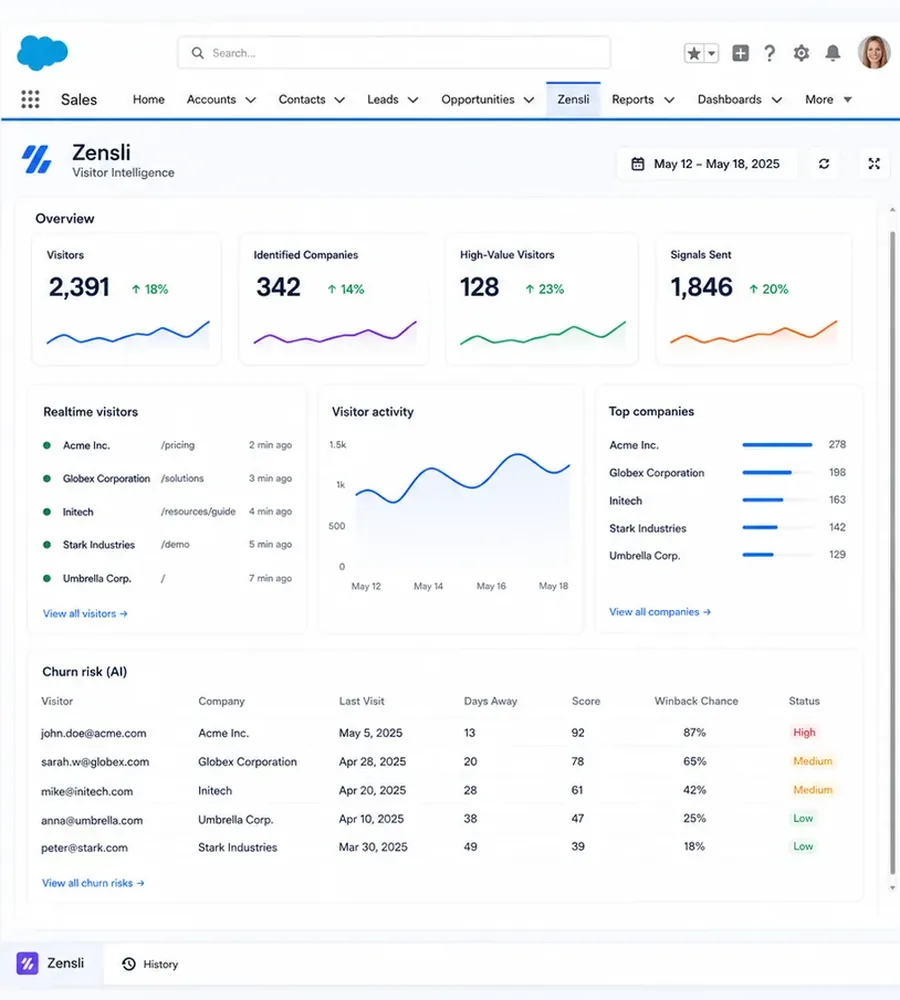Zensli overview embedded in Salesforce